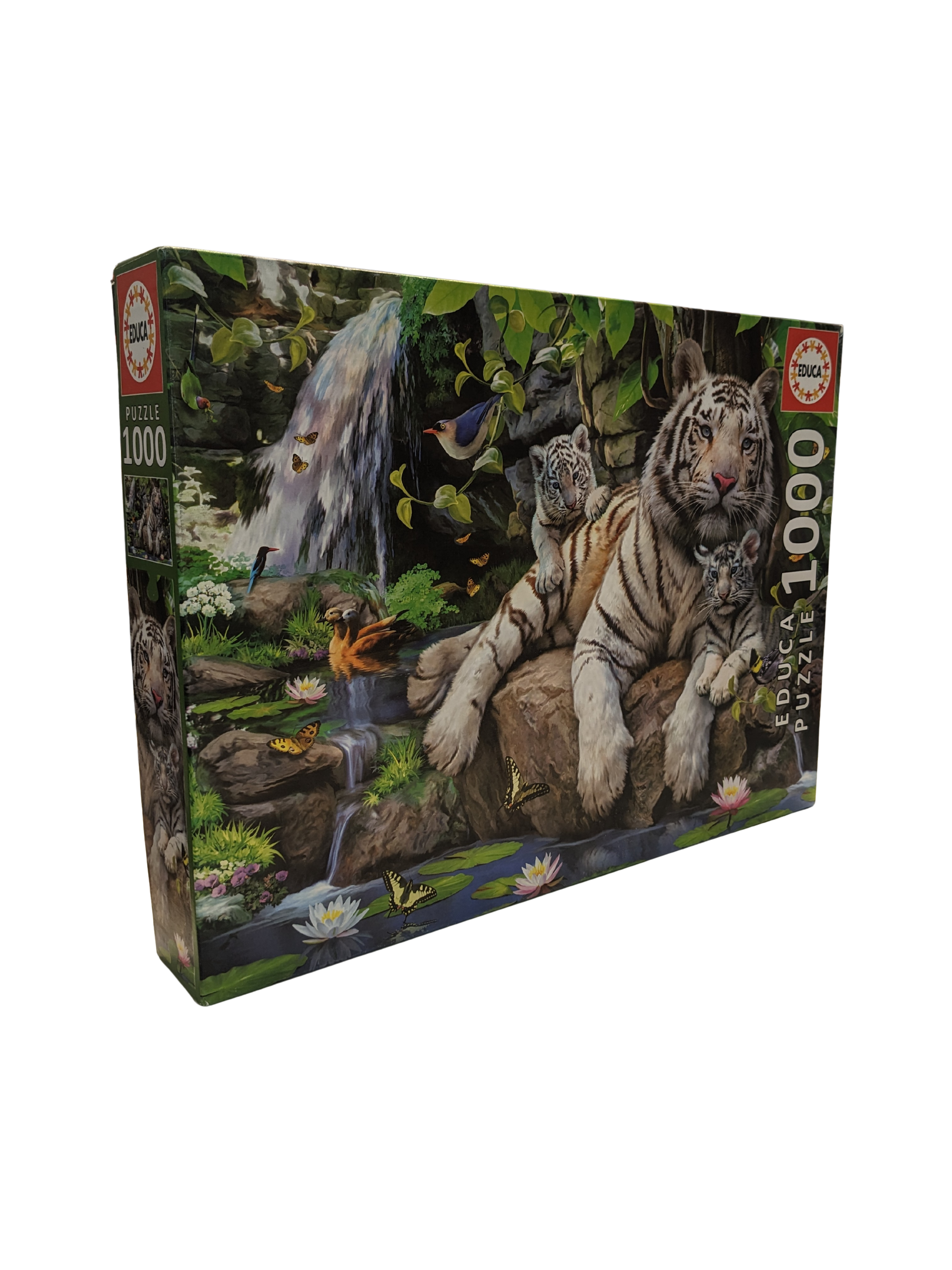 Tigres Blancs au Bord de la Cascade – Puzzle 1000 pièces – Educa