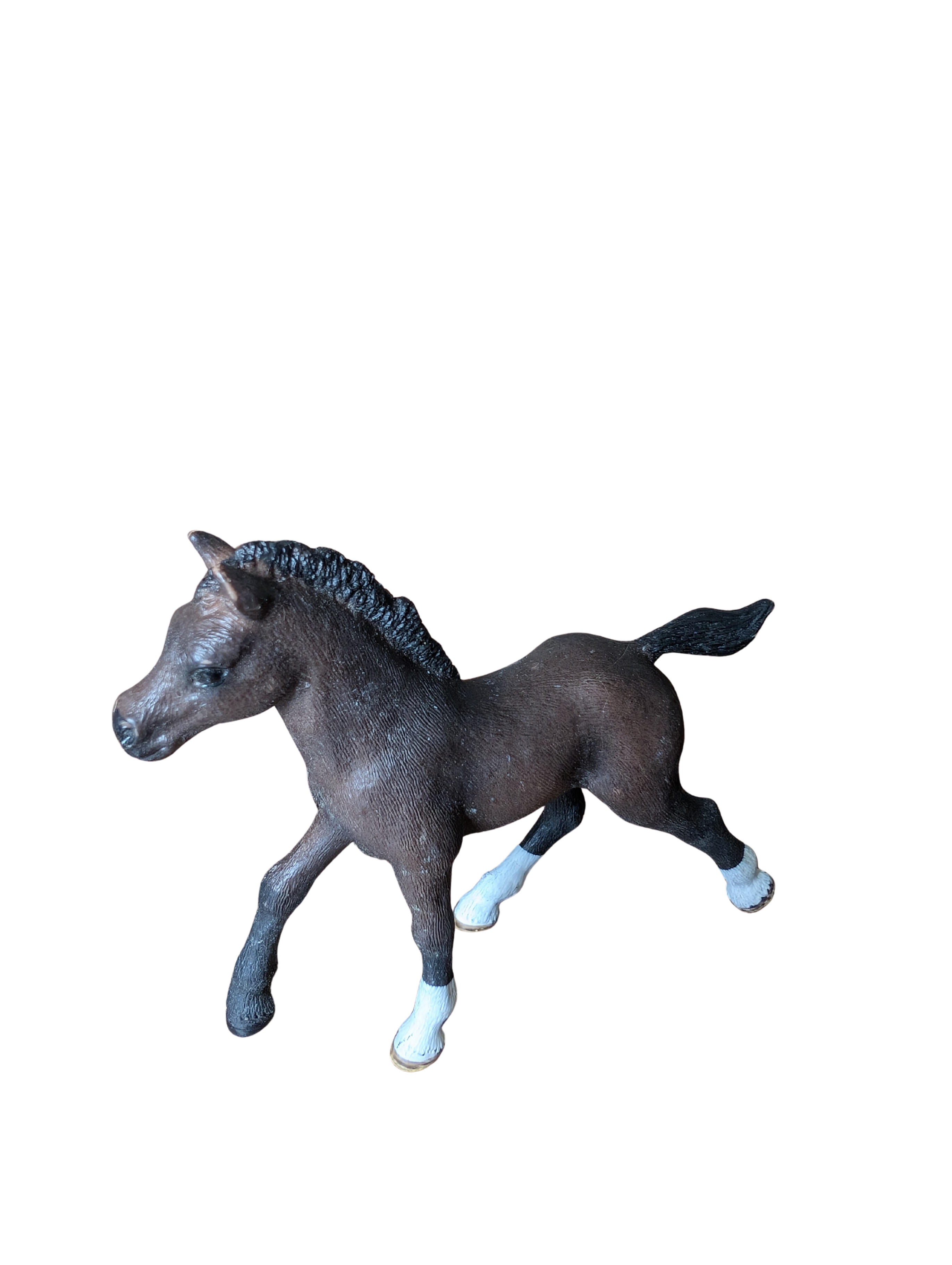 Poulain Arabe Horse Club – Schleich