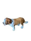 Saint-Bernard Farm World – Schleich
