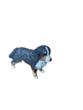Bouvier Bernois Femelle Farm World – Schleich