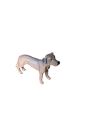 Rhodesian Ridgeback Farm World – Schleich