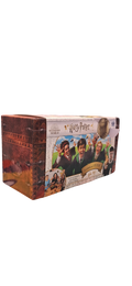 Harry Potter – La Course au Vif d'Or – Spin Master